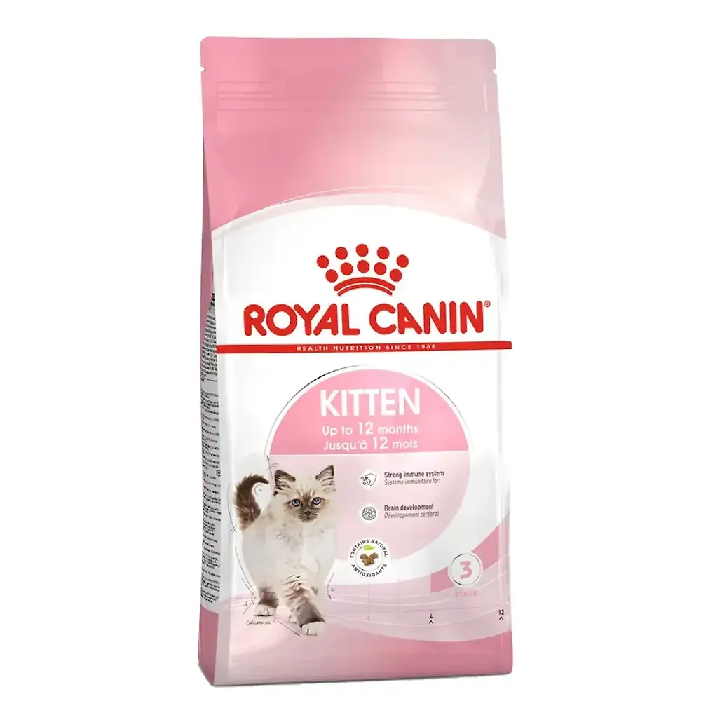 غذای خشک بچه گربه رویال کنین