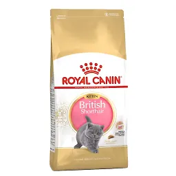 غذای خشک بچه گربه بریتیش مو کوتاه رویال کنین