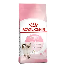 غذای خشک بچه گربه رویال کنین