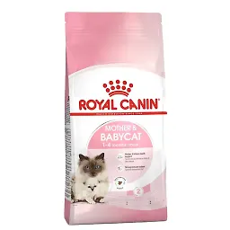 غذای خشک گربه مدل مادر اند بیبی کت رویال کنین