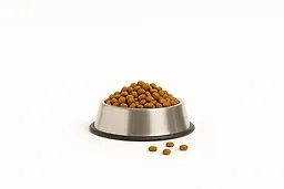 غذای گاسترو ( گوارشی ) گربه