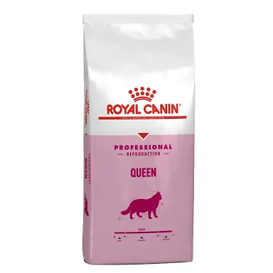 غذای خشک گربه کویین رویال کنین پروفشنال